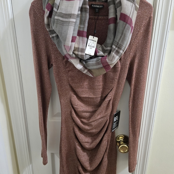 Express Dresses & Skirts - Express Women's Shimmering Rose Sweater with Plaid Cowl
